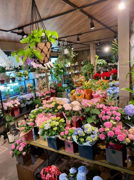 「グラン　シェノン」　（島根県出雲市）の花屋店舗写真4